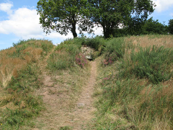 Tumulus du Moustoir Er Mane
